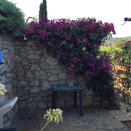 Studio-Appartment In Landhaus Mit Meerblick Porto Azzurro Extérieur photo
