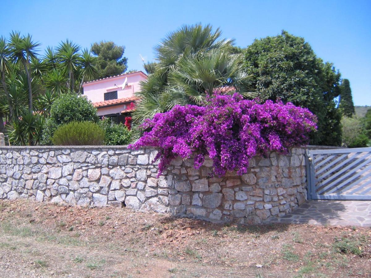 Studio-Appartment In Landhaus Mit Meerblick Porto Azzurro Extérieur photo