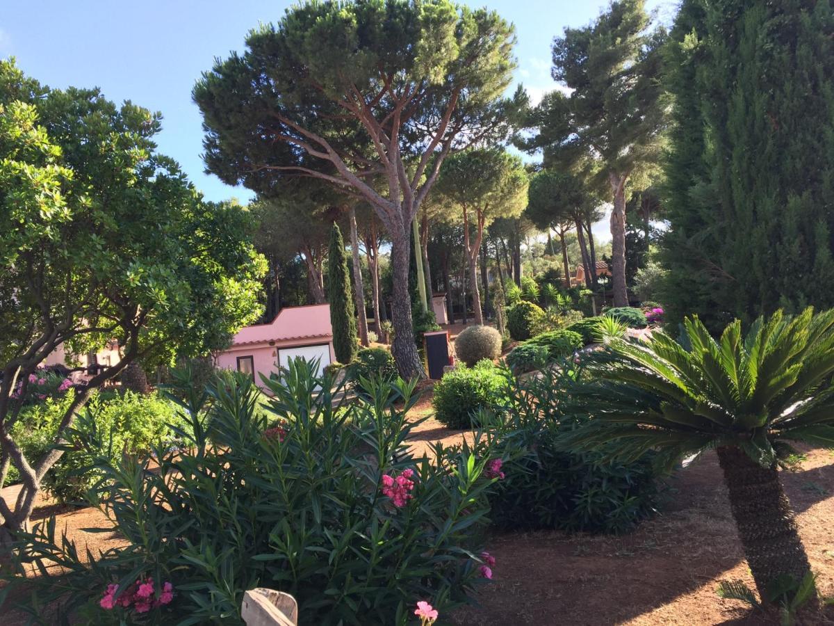 Studio-Appartment In Landhaus Mit Meerblick Porto Azzurro Extérieur photo